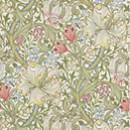 Siirry ryhmään Golden Lily