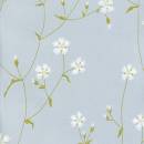 Siirry ryhmään Niittyleinikki