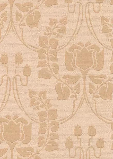 Jugend-tulppaani - Kasviaiheet - 69240 - 1