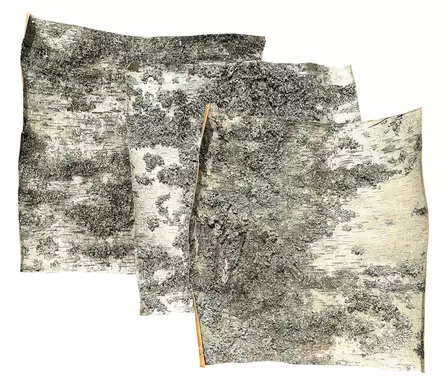 Koivutuohi - Eristepahvit, -paperit ja -levyt - 310-020-250 - 1