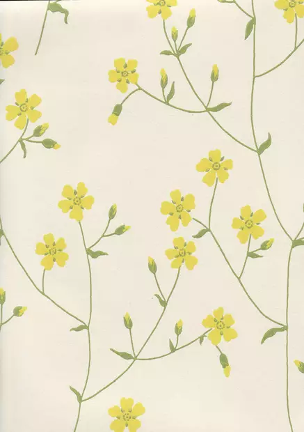 Niittyleinikki - Pihlgren & Ritola -tapetit - 69200 - 1