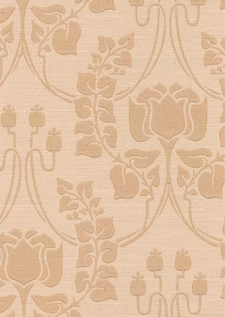 Jugend-tulppaani - Kasviaiheet - 69240 - 1