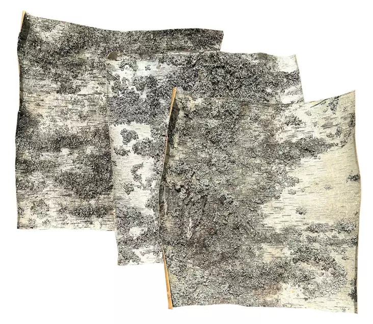 Koivutuohi - Eristepahvit, -paperit ja -levyt - 310-020-250 - 1