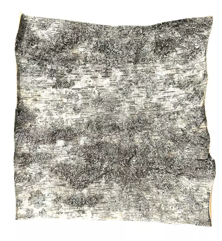 Koivutuohi - Eristepahvit, -paperit ja -levyt - 310-020-300 - 1