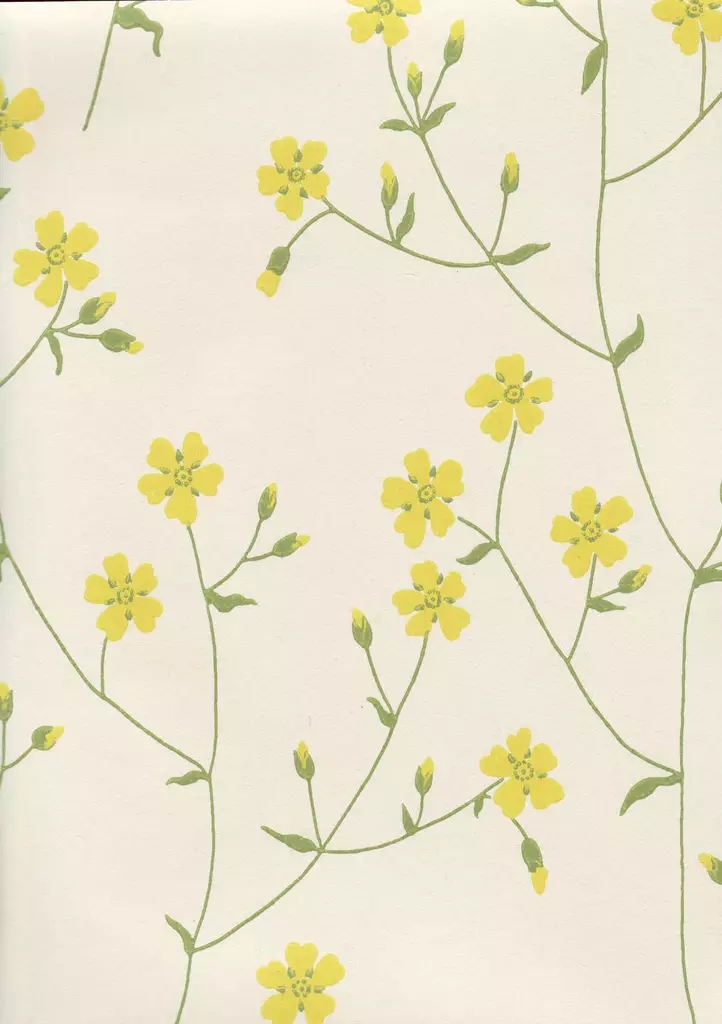 Niittyleinikki - Pihlgren & Ritola -tapetit - 69200 - 1