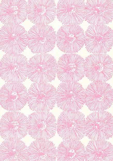 Hahtuva - Kasviaiheet - 70011 - 1