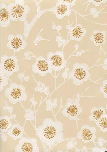 Kirsikkapuu - Kirsikkapuu - 69751 - 1