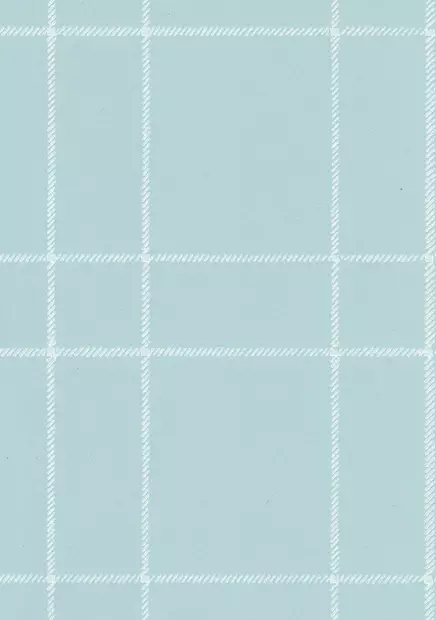 Villaruutu - 70-luvun tapetit - 70121 - 1