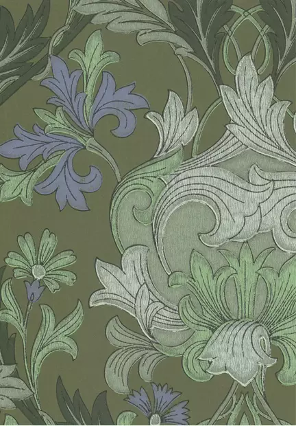 Williamin köynnös - Kasviaiheet - 68881 - 1