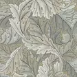 Acanthus - Acanthus - 216441 - 1