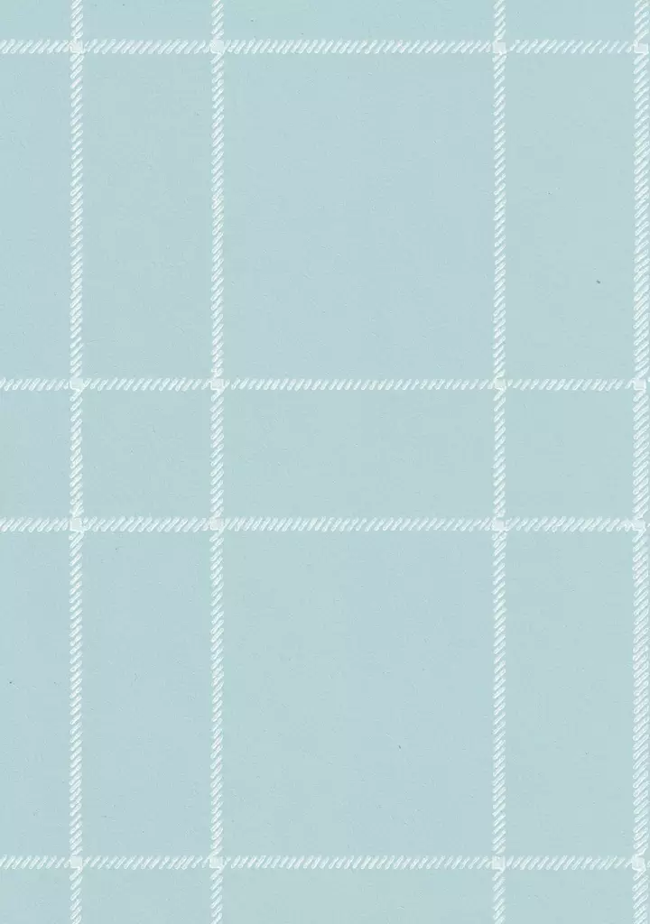 Villaruutu - 70-luvun tapetit - 70121 - 1