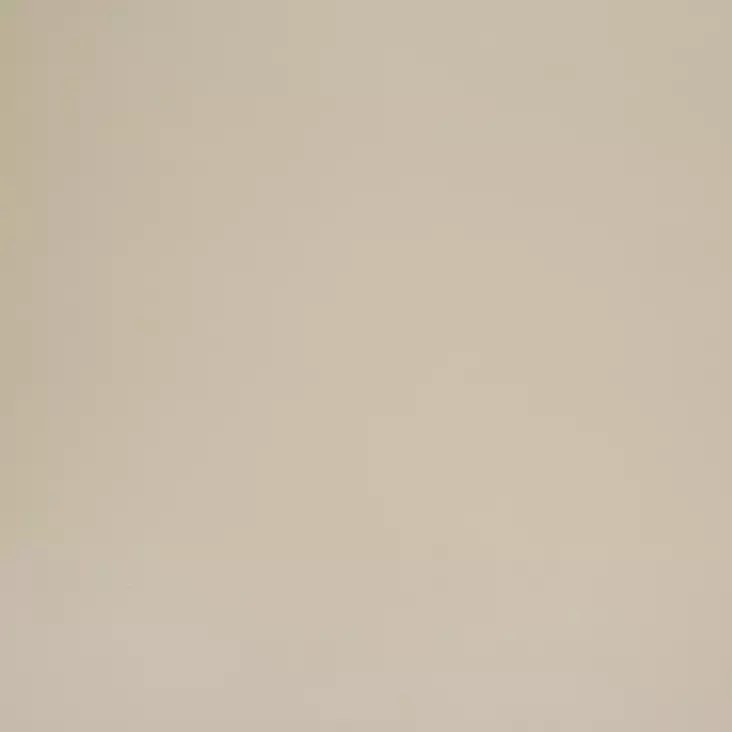 Väripigmentti Oliivinvihreä - Sävytysaineet - 859-003-1 - 1