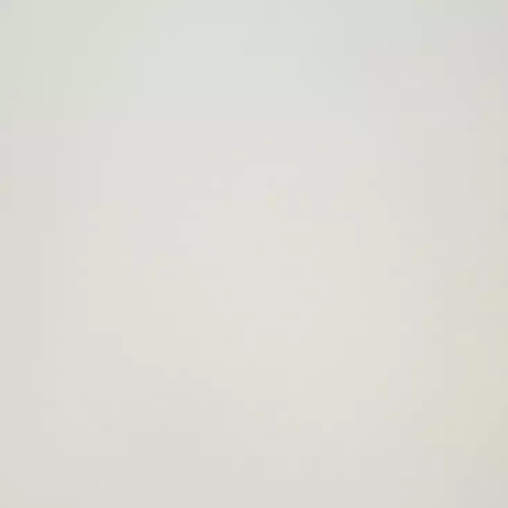 Väripigmentti Vaaleanharmaa - Sävytysaineet - 859-006-1 - 1