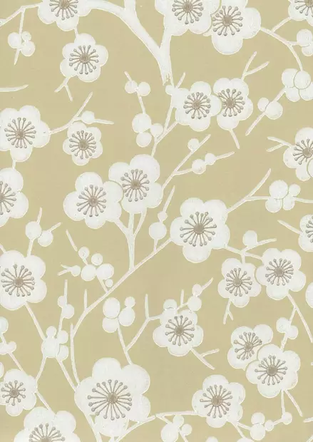 Kirsikkapuu - Kirsikkapuu - 69212 - 1