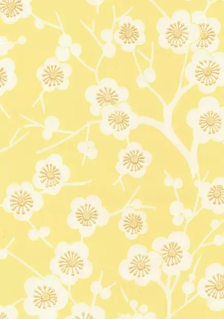 Kirsikkapuu - Kirsikkapuu - 70072 - 1