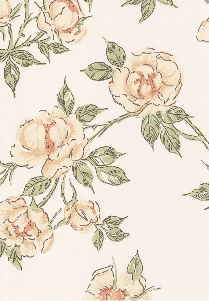 Juhannusruusu - Pihlgren & Ritola -tapetit - 69272 - 1