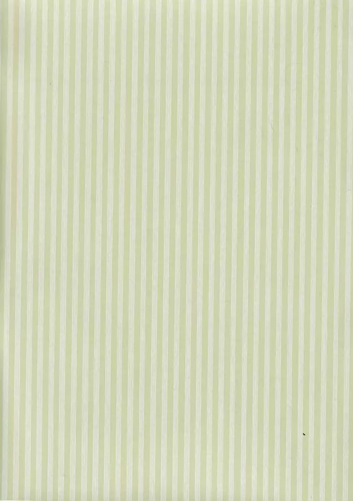 Kapea raita - Hillityt mallit - 69762 - 1