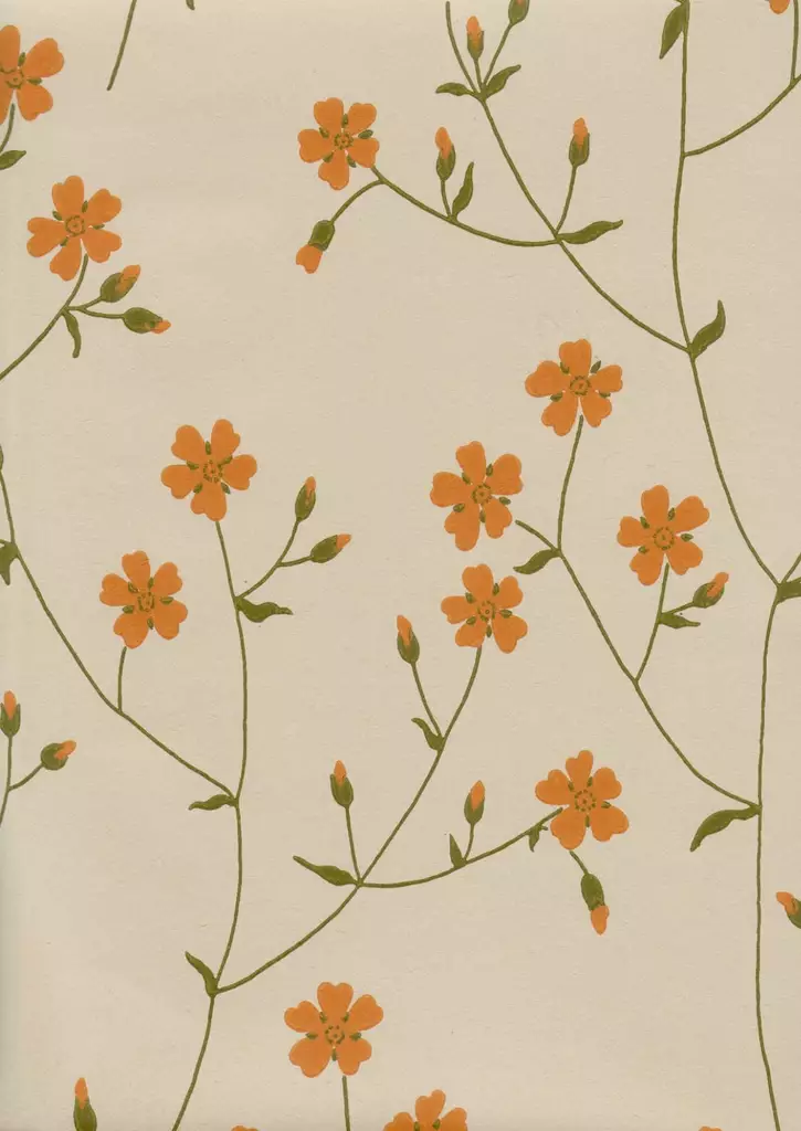 Niittyleinikki - Pihlgren & Ritola -tapetit - 69202 - 1