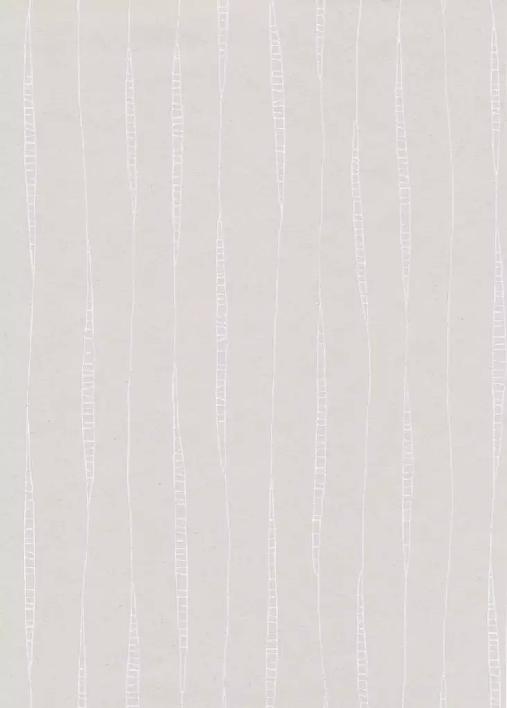 Viilu - Pihlgren & Ritola -tapetit - 69792 - 1