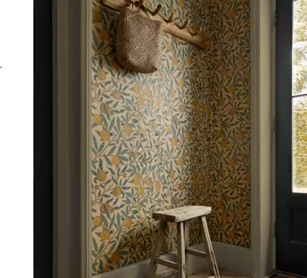 Fruit - Fruit - WR8048-3 - 1