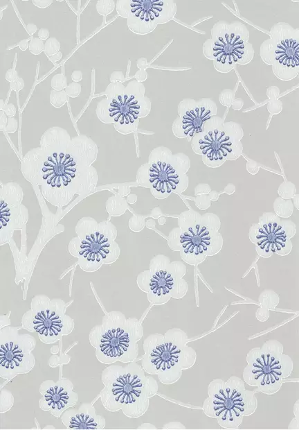 Kirsikkapuu - Kirsikkapuu - 70083 - 1