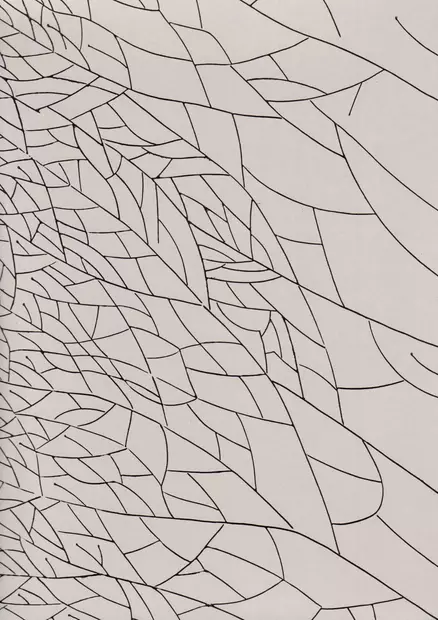 Linneus - Pihlgren & Ritola -tapetit - 64613 - 1