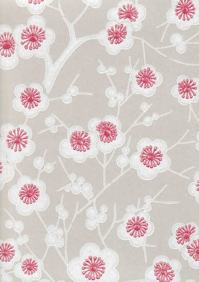 Kirsikkapuu - Kirsikkapuu - 69213 - 1