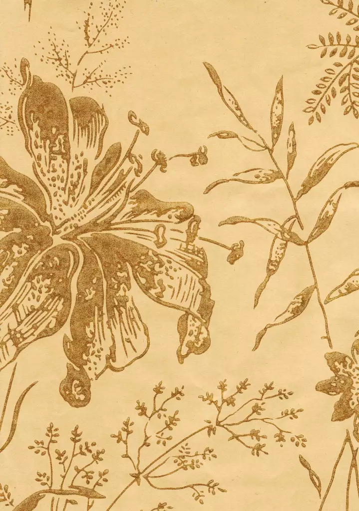 Lilja - Pihlgren & Ritola -tapetit - 69773 - 1