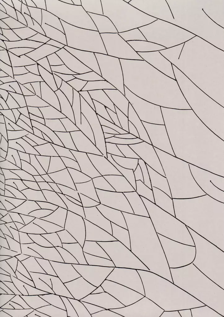 Linneus - Hillityt mallit - 64613 - 1