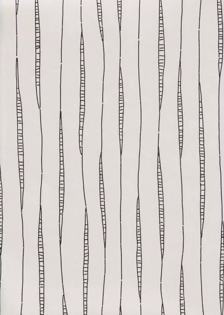 Viilu - Pihlgren & Ritola -tapetit - 69763 - 1