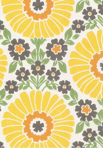 Auringonkukka - Kasviaiheet - 70074 - 1