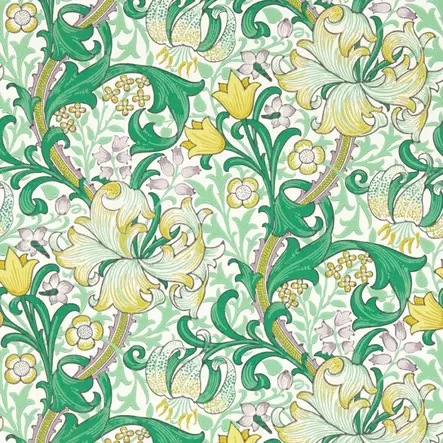 Golden Lily - Golden Lily - 510014 - 1