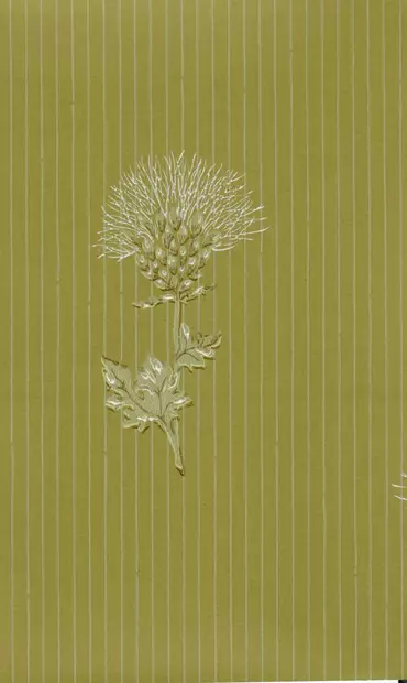 Ohdake - Pihlgren & Ritola -tapetit - 69705 - 1