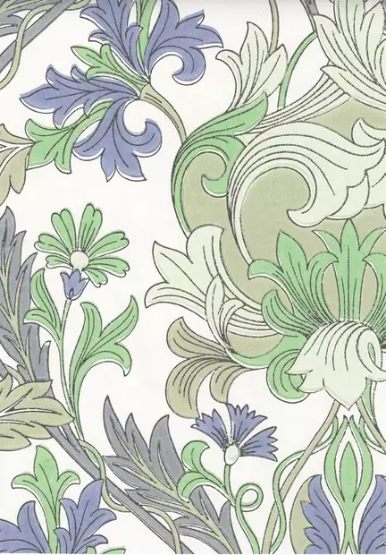 Williamin köynnös - Kasviaiheet - 70055 - 1