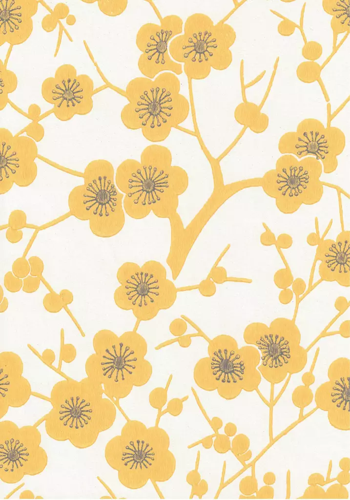 Kirsikkapuu - Kirsikkapuu - 70125 - 1