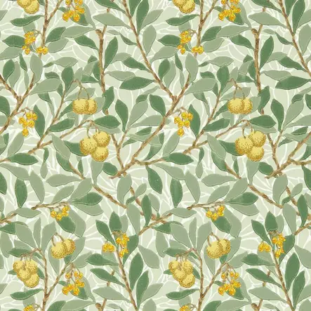 Arbutus - Arbutus - 217356 - 1