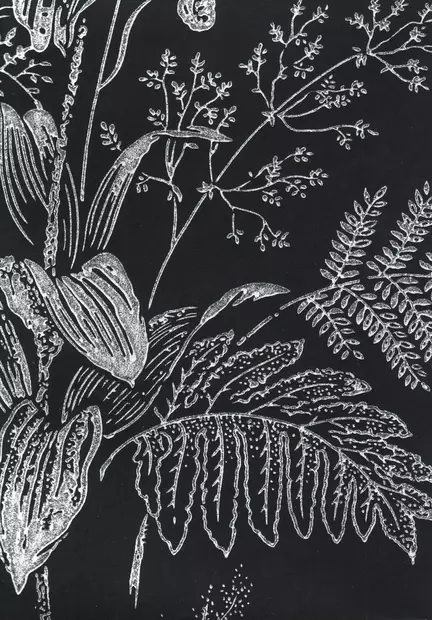 Lilja - Pihlgren & Ritola -tapetit - 69756 - 1