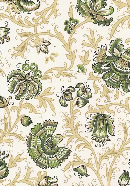 Neidonkukka - Kasviaiheet - 67306 - 1