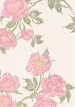 Juhannusruusu - Pihlgren & Ritola -tapetit - 69276 - 1