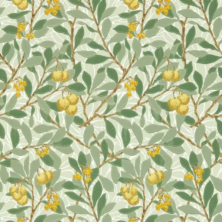 Arbutus - Arbutus - 217356 - 1