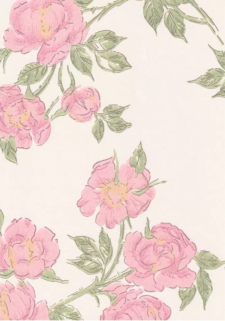 Juhannusruusu - Pihlgren & Ritola -tapetit - 69276 - 1