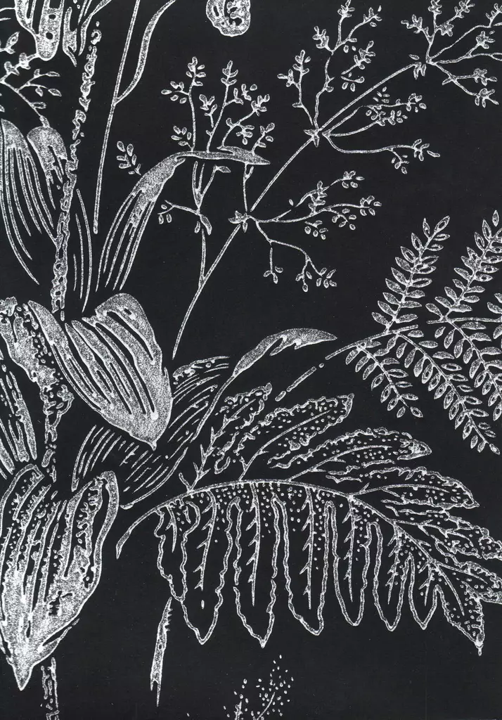 Lilja - Pihlgren & Ritola -tapetit - 69756 - 1