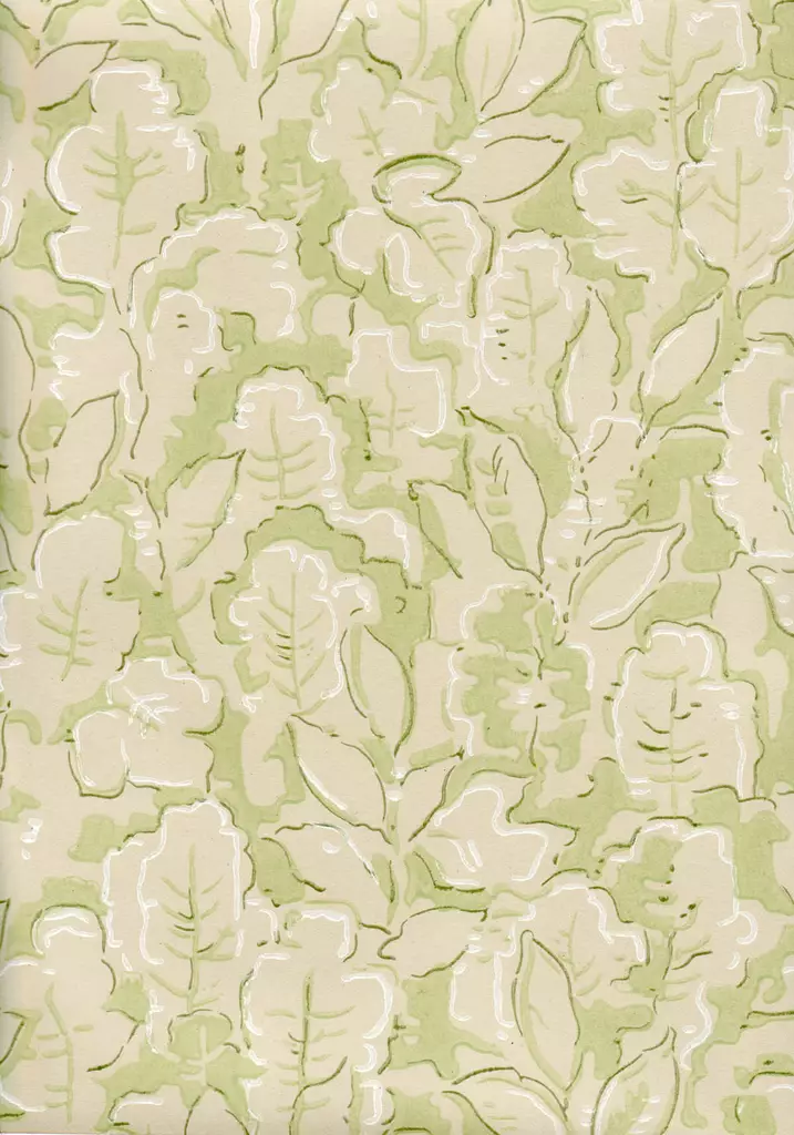 Tammenlehti - Kasviaiheet - 69686 - 1