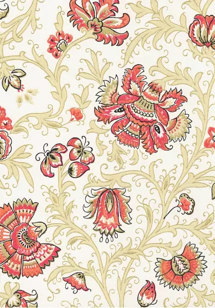 Neidonkukka - Kasviaiheet - 67307 - 1