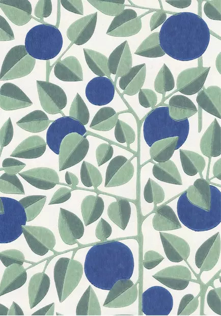 Mustikka - Kasviaiheet - 70097 - 1