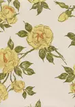 Paperitapetti Juhannusruusu, keltainen - Kasviaiheet - 69277 - 1