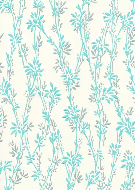 Jääkukka - Kasviaiheet - 70018 - 1