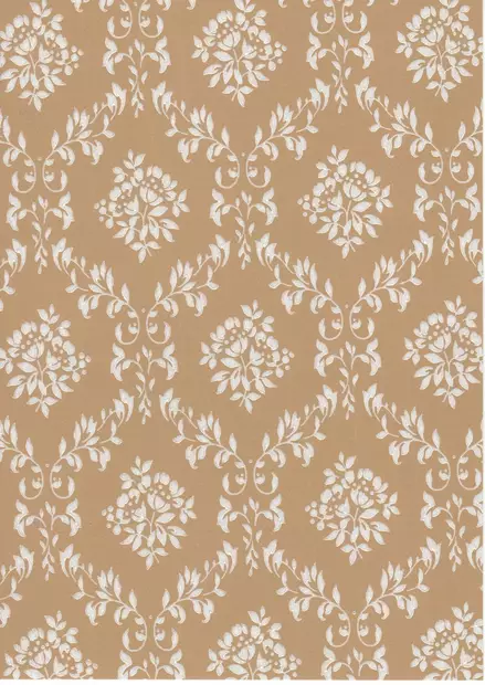 Oratuomi - Kasviaiheet - 70038 - 1