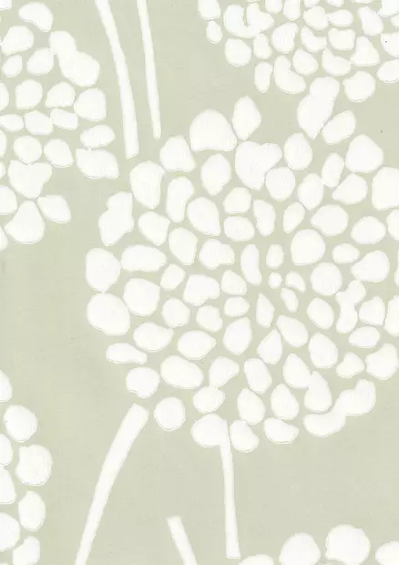 Daaliat - Kasviaiheet - 70128 - 1