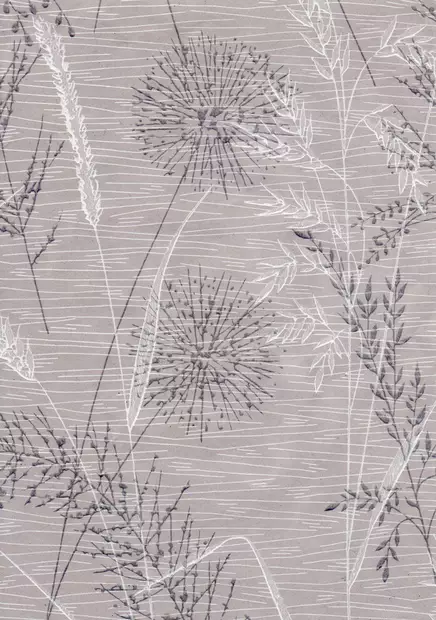 Kukko vai kana? - Pihlgren & Ritola -tapetit - 69778 - 1